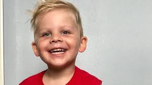 Fundraiser for Jessica Danielson by Laura Pflugrath : Help Teddy tackle his  tumor!