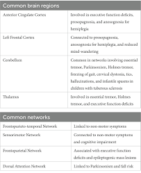 Image result for Neurologic Lesion Localization