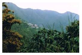 Check spelling or type a new query. Coffee Origins Jamaican Blue Mountain A E Coffee Tea