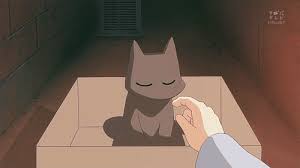 Aww Esto Si Es Tierno Sakamoto Y Nano Global Anime Pictures Kawaii Anime Anime Cat Anime Funny