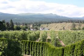 卑詩內陸酒鄉遊（上）- 酒莊婚禮- 哲子戲Philosophist's Camp