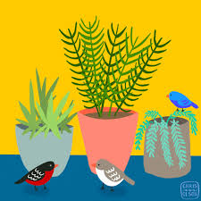 Carta flor de cactus, don del amor. Regalar Plantas En San Valentin Be Green