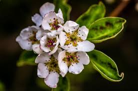 Adam liptak (born september 2, 1960) is an american journalist, lawyer and instructor in law and journalism. Juraj Liptak Separe84 Photographer Profile