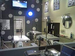We did not find results for: Pin By Dannie Stewart On Places That I Have Decorated Grooming Salon Pet Grooming Salon Dog Grooming Salons