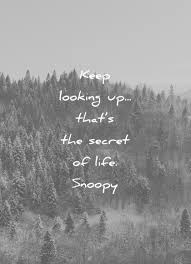 Check spelling or type a new query. 125 Life Quotes