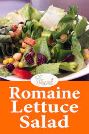 Romaine Lettuce Salad Recipe With Step By Step Video Elegante Catering Recipe Lettuce Salad Recipes Romaine Lettuce Salad Recipes Romaine Lettuce Salad