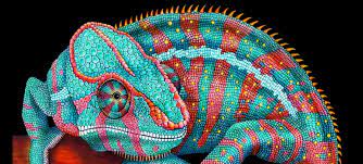 If you're looking for a something a little out of ordinary for a pet florida woman shoots python as it wraps around her pet goat. Exotic Pets Wild Blood And The Search For Human Animal Connection Literary Hub