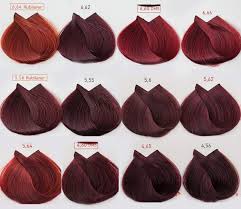 99 Loreal Majirel Colour Chart For Hair Chart Colour L