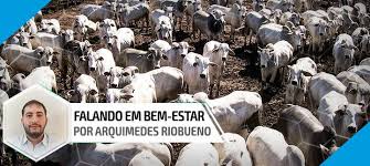 Перевод контекст confinamento c итальянский на русский от reverso context: Bem Estar Animal Seu Efeito E Resultado Do Confinamento