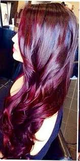 Plum With Red Highlights Hair Color Purple Burgundy Hair Hair Inspiration