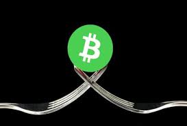 You can't transfer bitcoin in or out of paypal. Bitcoin Cash War Resulting In The Loss Of Millions Of Dollars In Mining