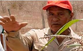 Volver a Pablo Characo: Temple de sol y tierra