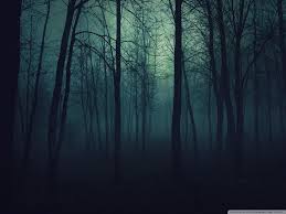 Dark Forest 4k Ultra Hd Wallpapers Top Free Dark Forest 4k Ultra