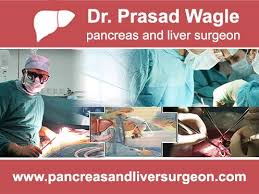 Pin On Pancreas And Liver Surgeon