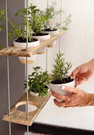 Diese 60 Diy Ideen Fur Hangende Garten Liegen Voll Im Trend Wohnideen Und Dekoration Diy Krautergarten Diy Garden Zimmerkrauter