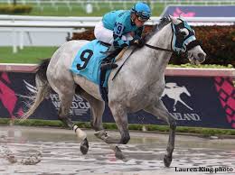 Pin By Annette Ruzicka On Horses Horses Horse Racing Racing News