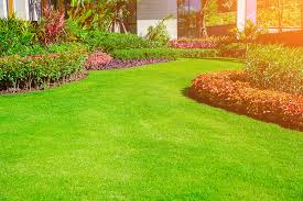 Trent sparks lawn services in longview, tx. Lawn Shrub Care Lawn Fertilization Maintenance Tyler Longview Athens Tx Greenscape Services