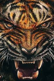 1000 images about logo gucci on pinterest gucci fond d ecran gucci fond ecran nike. Tigre Je L Ai Dit Maintenant Fond D Ecran Telecharger Sur Votre Mobile Depuis Phoneky