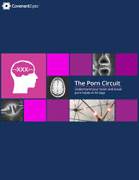 The Porn Circuit | Covenant Eyes