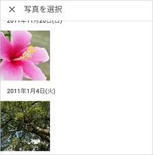 植物の名前をスマホで調べるアプリ Google レンズ アプリの鎖
