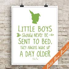 Pin By Jenny Vick On One In 2021 Peter Pan Party Peter Pan 1st Boy Birthday