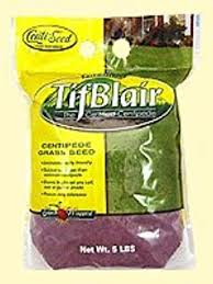 The best time to start a centipedegrass lawn is late spring through early summer. Amazon Com Centipede Grass Seeds Tifblair Certified 6 Lbs Grass Plants Garden Outdoor
