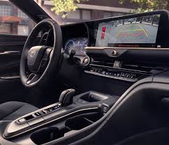 Image result for Black 2023 Crown