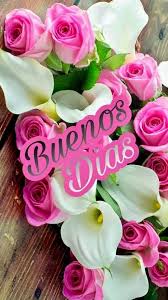 Pin De Klau Gama En Buen Dia Buenos Dias Con Flores Frases De Buenos Dias Buenos Dias Amor