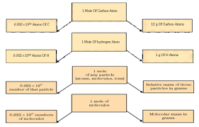 mole concept learn chemistry class 9 amrita