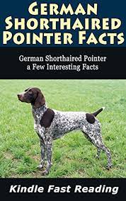 Deutscher kurzhaariger, vorstehhund, deutsch kurzhaar, kurzhaar. German Shorthaired Pointer Facts German Shorthaired Pointer A Few Interesting Facts English Edition Ebook Parks Odell E Amazon De Kindle Shop