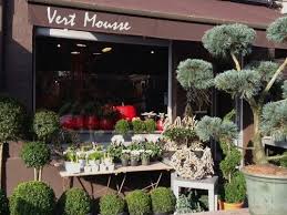Vert Mousse Fleuriste Vert Fleuriste Mousse