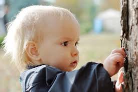 The Complaints System for Early Childhood Education Services