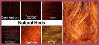 Wondrous Red Hair Color Chart Pics Of Hair Color Concepts
