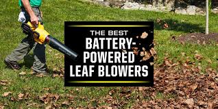 Sears has a great collection of cordless leaf blowers for increased comfort. Best Cordless Leaf Blowers 2021 Battery Powered Leaf Blowers