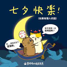 44 9k 個讚 212 則留言 instagram 上的黃阿瑪的後宮生活 fumeancat 阿瑪 祝大家七夕快樂喔 招弟 第一次搭飛毯就墜落 限動有手機桌布