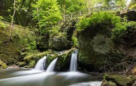 Discover mullerthal places to stay and things to do for your next trip. Mullerthal Trail Luxemburg City Ticket Price Timings Address Triphobo