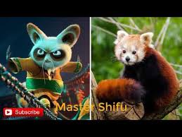Kung fu panda 3 hits north american movie theaters. Kung Fu Panda 3 Characters In Real Life All Characters 2018 Youtube