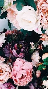 36 Ideas For Flowers Tumblr Rose Pink Peonies Flower Wallpaper Flower Aesthetic Flowers