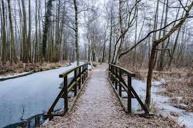Genießen sie eine winter kahnfahrt im spreewald. Der Spreewald Im Winter Die Schonsten Ausfluge Blickgewinkelt
