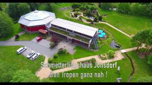 Lassen sie von ihren aussergewöhnlichen farben betören und. Schmetterlingshaus Jonsdorf Im Zittauer Gebirge Youtube