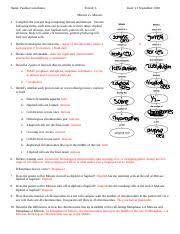 Work power and energy worksheets answers. Mitosis Vs Meiosis Worksheet Name Paulina Castellanos Period C Date 21 September 2018 Mitosis Vs Meiosis 1 Complete The Concept Map Comparing Course Hero