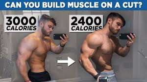 build muscle in a calorie deficit