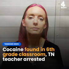 A Cheatham County deputy acted