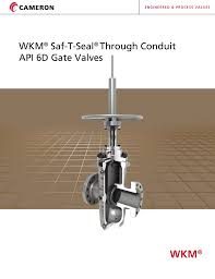 Wkm Saf T Seal Through Conduit Api 6d Gate Valves