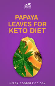Papaya Leaves For Keto Diet Ebook Herbal Goodness In 2020 Good Healthy Recipes Keto Diet Maintain Healthy Weight