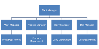 6 examples of effective design for your organizational structure