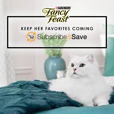 Purina Fancy Feast Grilled Feast In Gravy Canned Wet Cat Food Ad Feast Ad Grilled Purina Fancy Wet Cat Food Cat Food Purina
