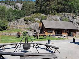 Opprinnelig navn er skogheimr, 'skoggården'. Prosjekt Lille Skaugum As Hjem