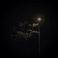 1 style and media 1.1 production roles 2 gallery 2.1 selected artworks 2.2 personal photos 3 see also 4 external links kojima often uses molding paste, conté crayon, acrylics, india. Cute Cartoon Characters Funny Aesthetic Profile Pictures Dark Aesthetic Pictures Night