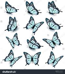 Collection Blue Butterflies Flying Different Directions Stock Vector Royalty Free 475383208 In 2020 Butterfly Art Painting Butterfly Drawing Blue Butterfly
